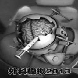 外科模拟2013中文版
